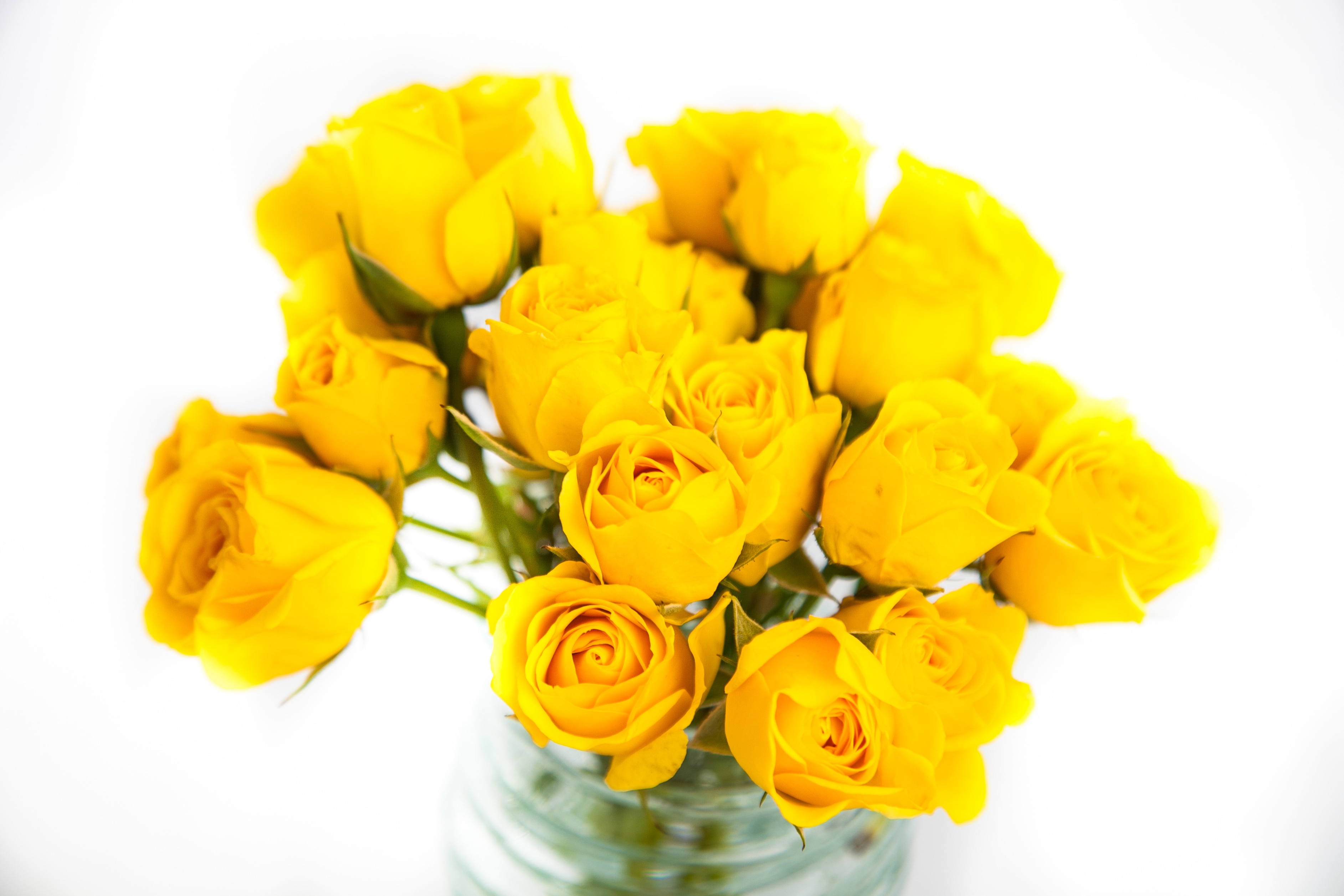 Upgrade with Flowers